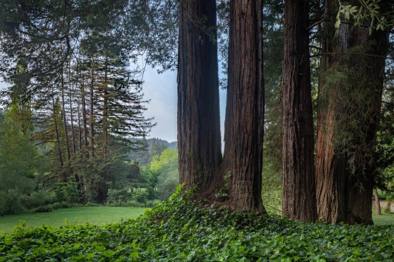 Dawn Ranch Ξενοδοχείο Guerneville Εξωτερικό φωτογραφία